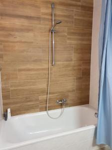 a shower in a bathroom with a bath tub at SeeStern Strandnahe Wohnung in Hohen Wieschendorf in Hohen Wieschendorf