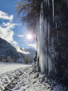 un arbre recouvert de glace à côté d'une route enneigée dans l'établissement Auberge du Bachelard, à Uvernet