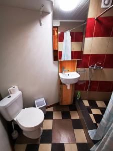 Holiday House Niedras Jurmala في يورمالا: حمام مع مرحاض ومغسلة