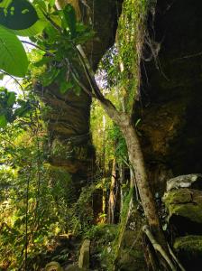 Gallery image of Ecopradera in San José del Guaviare