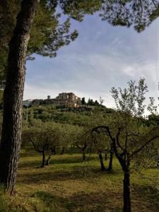 un château au sommet d'une colline plantée d'arbres dans l'établissement La Loggetta casa vacanze, à Lugnano in Teverina