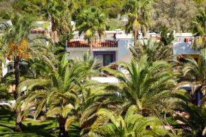 
a beach with palm trees and palm trees at Insotel Hotel Formentera Playa in Playa Migjorn
