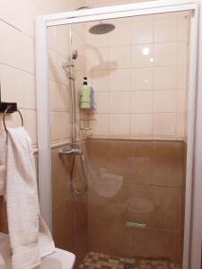 a shower with a glass door in a bathroom at Quiet Getaway in Bloemfontein