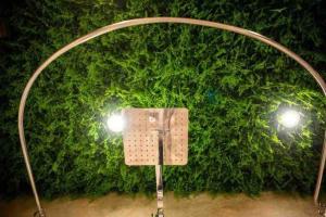 Zahrada ubytování A&K COZY ART Studio 1