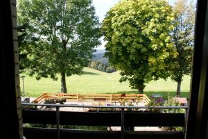 a view of a park from a window at Hotel Pension Fernblick in Sankt Andreasberg