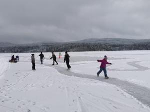 Lipno-Lake v zimě
