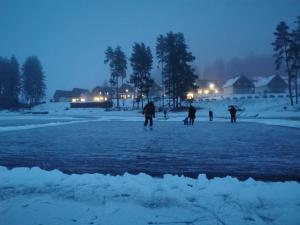 Lipno-Lake v zimě