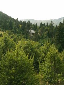 a house in the middle of a forest of trees at stodasos in Eptalofos