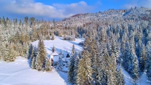 ein Haus inmitten eines schneebedeckten Waldes in der Unterkunft Ostoja Rycerka in Rycerka Górna