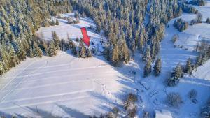 eine Luftansicht auf eine Skipiste mit Bäumen und Schnee in der Unterkunft Ostoja Rycerka in Rycerka Górna
