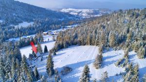 eine Luftansicht auf einen schneebedeckten Berg mit Bäumen in der Unterkunft Ostoja Rycerka in Rycerka Górna