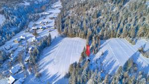 Luftblick auf ein Skigebiet im Schnee in der Unterkunft Ostoja Rycerka in Rycerka Górna + 48 Fotos