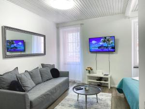 TV a/nebo společenská místnost v ubytování Love Apartment Rovinj