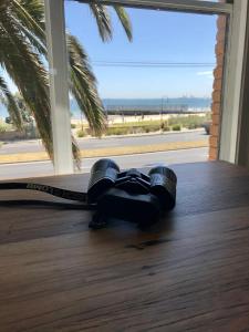 a pair of skis on a wooden floor with a window at Beach Front Beauty in Melbourne