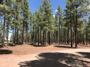 Foto dalla galleria di Grand Canyon Cottage at Historic Wrigley Ranch with Horseback Riding & Shooting a Parks