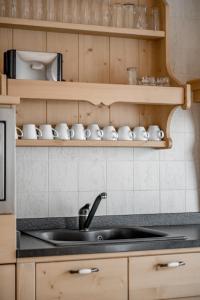 Kuchyňa alebo kuchynka v ubytovaní Apartment Torri di Seefeld + 33 fotografií