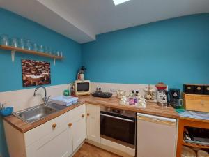 uma cozinha com um lavatório e um micro-ondas em Detached studio - Large shower ensuite - Kitchen - Only 3 Miles from Lyme Regis & Charmouth - Free WiFi & Private parking - Pet friendly with small fenced garden em Axminster