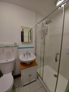 y baño con aseo, ducha y lavamanos. en Dog friendly detached studio - Up to 3 Guests can stay - Only 3 Miles from Lyme Regis - Large shower ensuite -Kitchen - Small fenced garden - Free private parking, en Axminster