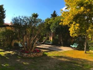 a park with benches and a tree with yellow flowers at Résidence du Louvre in Menton