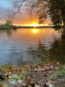 einen Sonnenuntergang auf einem See mit Enten im Wasser in der Unterkunft Hotel am Großen Waisenhaus in Potsdam
