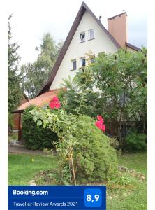 a house with a flowering bush in front of it at Apartament Leśny in Supraśl