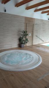 uma banheira de hidromassagem num quarto com um vaso de plantas em Nádas Panzió em Tiszafüred