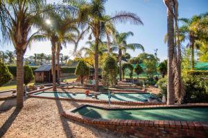 ośrodek z basenem z palmami w obiekcie Sparkling Water Hotels & Spa w mieście Rustenburg