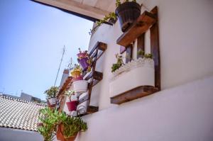 A balcony or terrace at Noera Home
