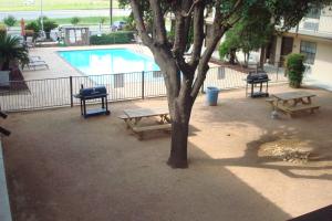 una piscina con mesas de picnic y un árbol en Deluxe Inn San Antonio Near Lackland AFB, en San Antonio