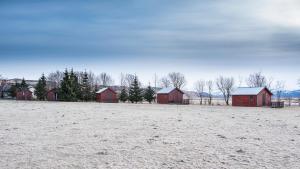 um grupo de celeiros vermelhos num campo em Smáratún Cottages & Chalets em Hellisholar