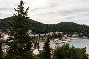 Fotografia z galérie ubytovania Cozy Dubrovnik Apartment v Dubrovníku