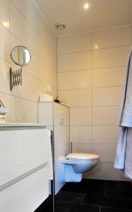 uma casa de banho com um WC e um lavatório em Bed & Breakfast Stiens (nabij Leeuwarden) em Stiens