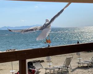 Gallery image of Golfo del Sole Holiday Resort in Follonica