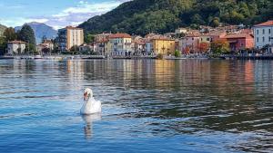 Gallery image of MAJOR SISTERS, APPARTAMENTO VISTA LAGO DI LUGANO in Porto Ceresio +38 photos
