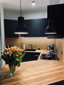 Kuchyň nebo kuchyňský kout v ubytování Apartament Krzysztofa Bochusa