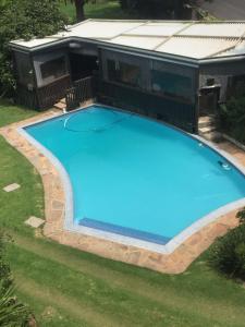 an overhead view of a large blue swimming pool at Letaba Cottages in Johannesburg