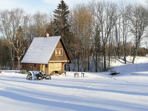 a wooden cabin with a horse and carriage in the snow at Gravas dzirnavas in Dārznieki