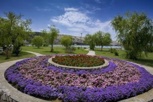 a circular garden with purple and purple flowers in a park at Apartment Dragan i Slavica in Lopar