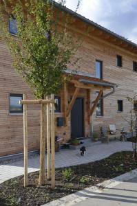 a black cat standing in front of a building at Bergnest Bad Bayersoien in Bad Bayersoien