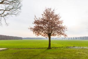 Gallery image of Landelijk appartement Friesland in Harich