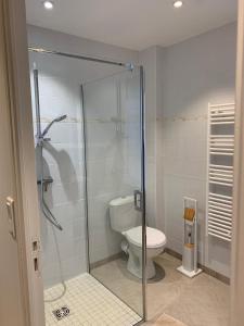 uma casa de banho com um WC e uma cabina de duche em vidro. em Les hauts de campagne em La neuville roy