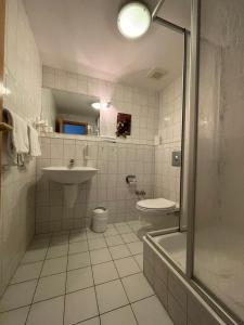 a bathroom with a sink and a toilet and a shower at Landgasthaus Zander in Blankenburg