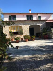 um gato está andando em frente a um edifício em Villa Monica appartamenti em Vieste