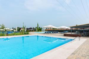Bazén v ubytovaní Agriturismo dei Grippi alebo v jeho blízkosti