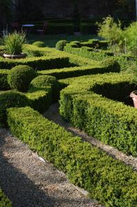 un labyrinthe de haies dans un jardin dans l'établissement Maison d'hôtes - Les Tillets, à Bois-Sainte-Marie