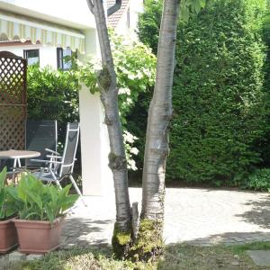 Zahrada ubytování Garteneckchen