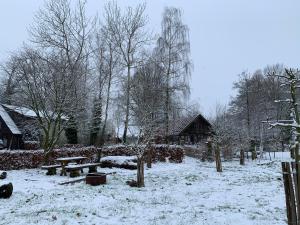 a snow covered yard with a picnic table and trees at Gästewohnung Hardinghaus am Teich in Warendorf