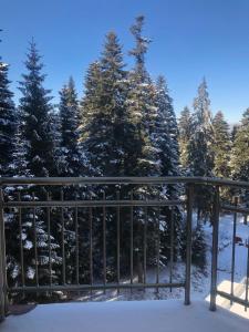 een balkon met sneeuw bedekte bomen op de achtergrond bij Flora Apartment 612A in Borovets