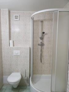 ein Bad mit einer Dusche und einem WC in der Unterkunft Penzión Harmónia in Modra