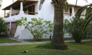 A garden outside Casa Luvi